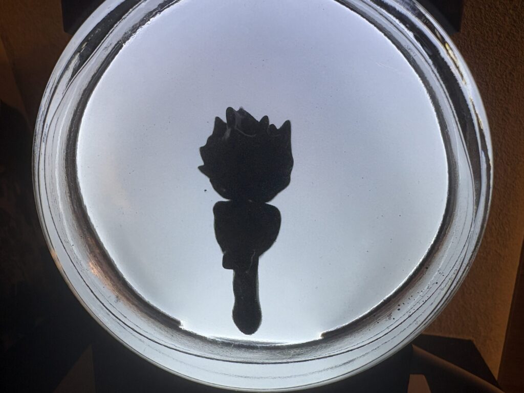 動いた磁性流体